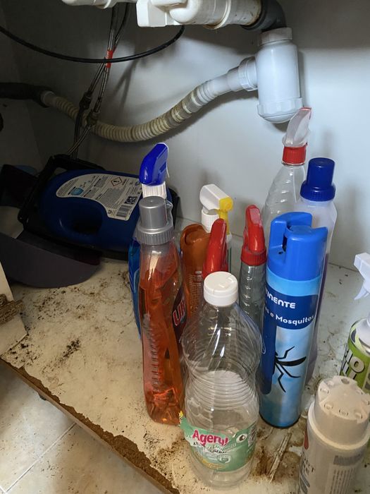 Limpeza profissional