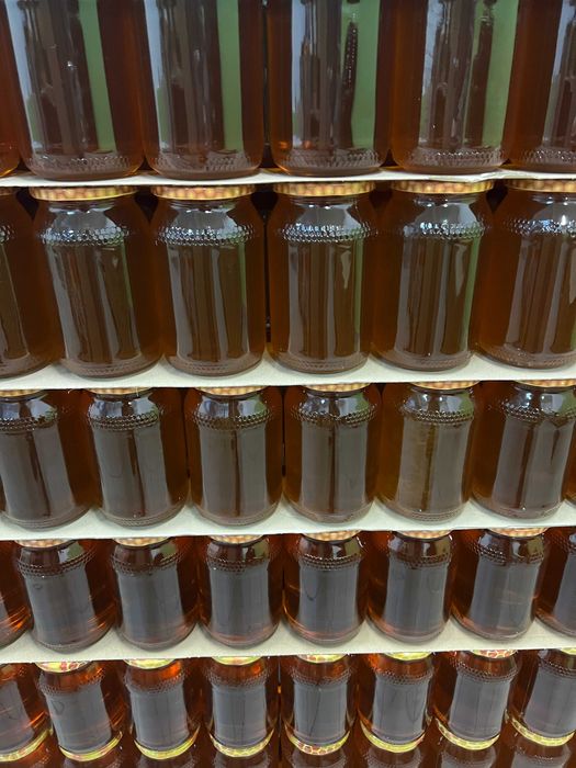 Miód pszczeli hurt,ule