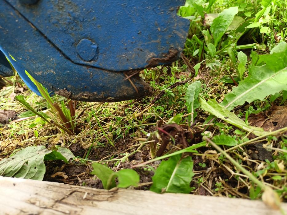 Siewnik Poznaniak 2.60m/1984r/docisk redlic/drabinka posiewna/znacznik