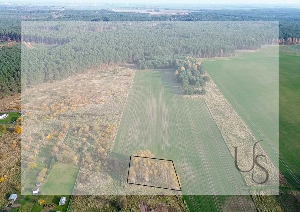 Działka budowlana z zagajnikiem brzozowym, tylko 56 zł/m2 - View 4