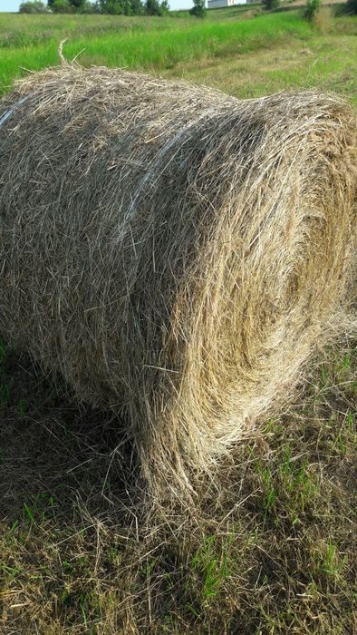 Sianokiszonka,bele siana zamienię lub sprzedam