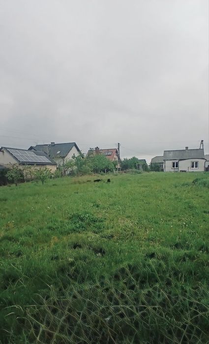 Zdjęcie 2