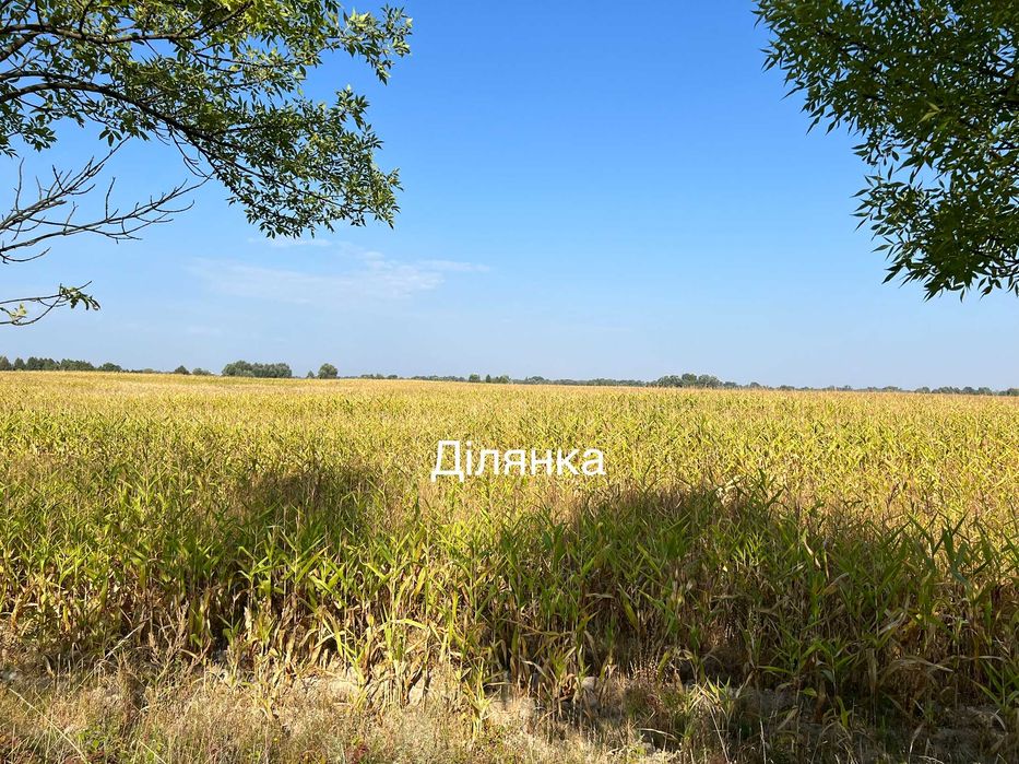 Дударків Фасадна ділянка 1 га