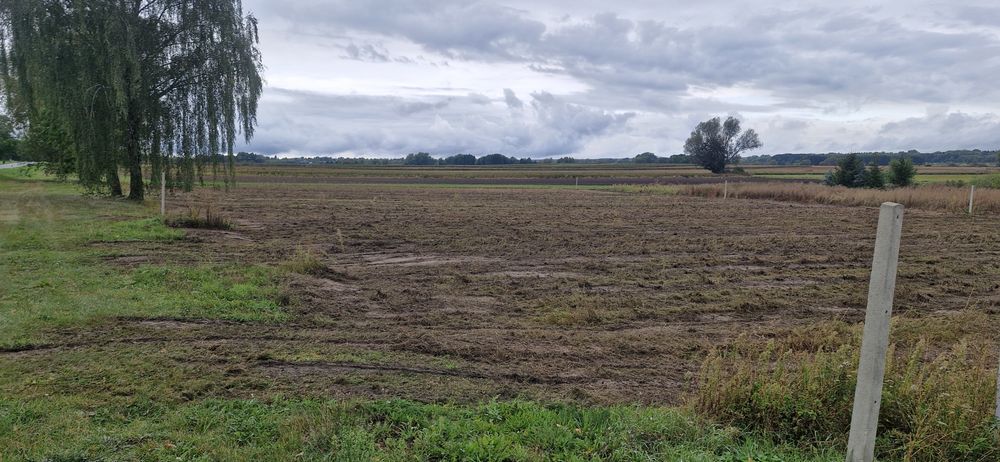 DZIAŁKI Na Sprzedaż – Janów Podlaski - Widok 3