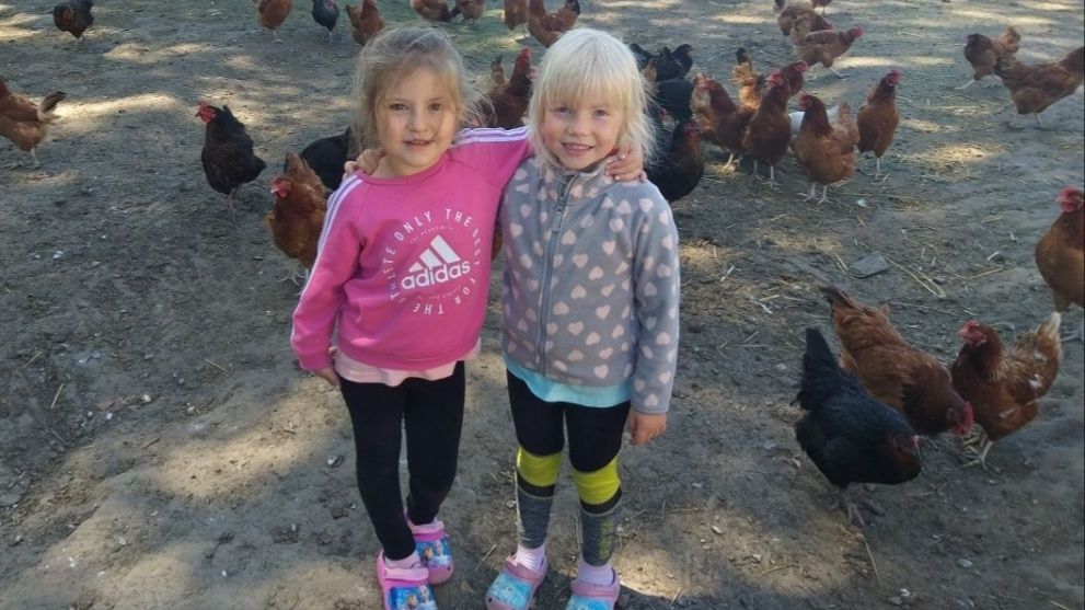 Jajka ,jaja wiejskie  1.40zl
