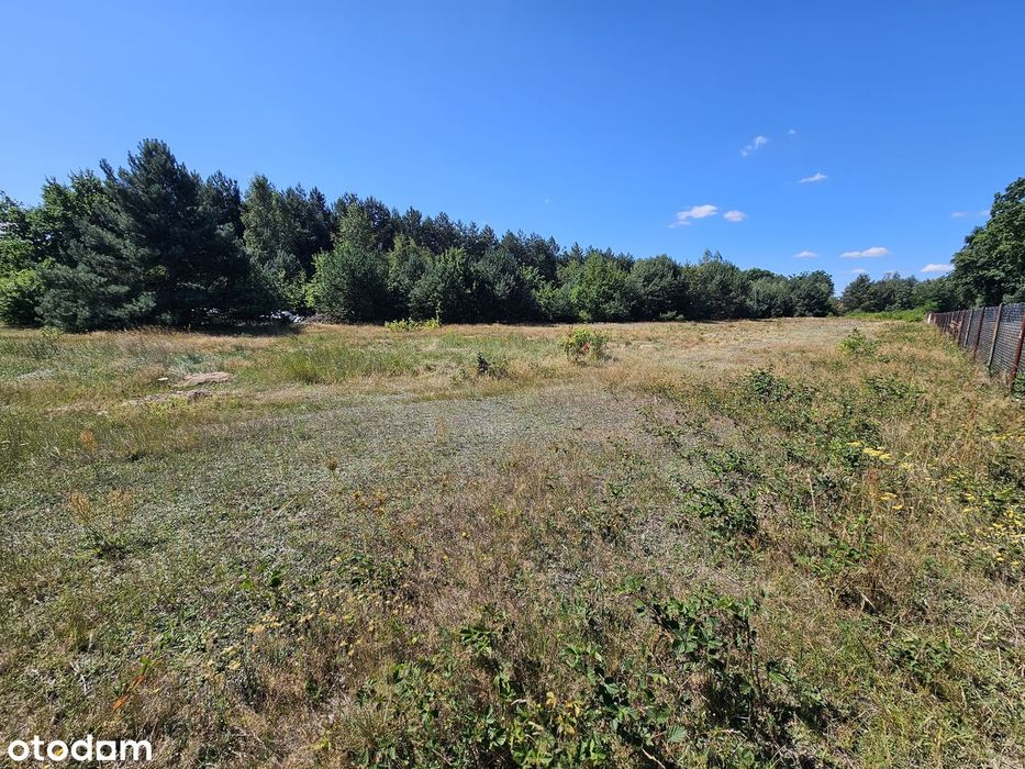 Działka budowlana 3003 m² – Brogi, gm. Dobroń