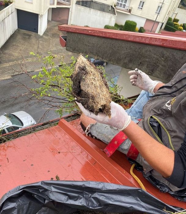 Reparos em Telhados/ Limpeza de Calheiras e Algeroz