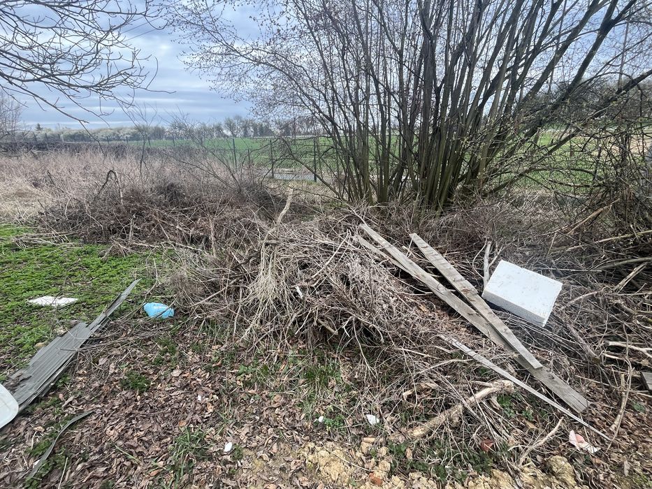 Gałęzie, drzewo - odbiór