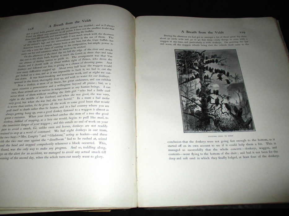 Livro A Breath from the Veldt J G Millais 1899 caça grossa África