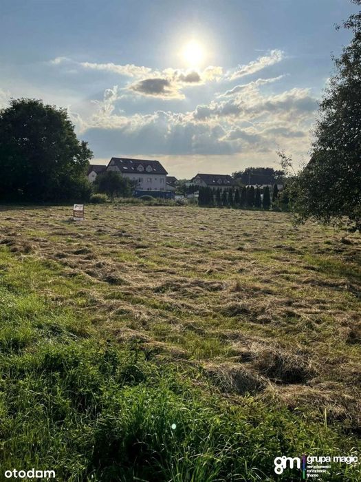 Działka, Osiek nad Wisłą