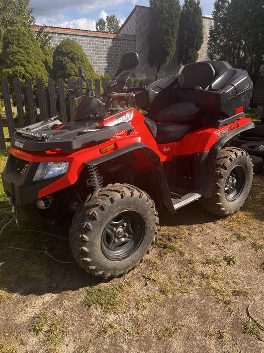 Arctic Cat