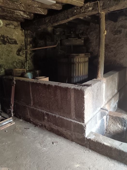 Casa para Restauro Cinfães Douro