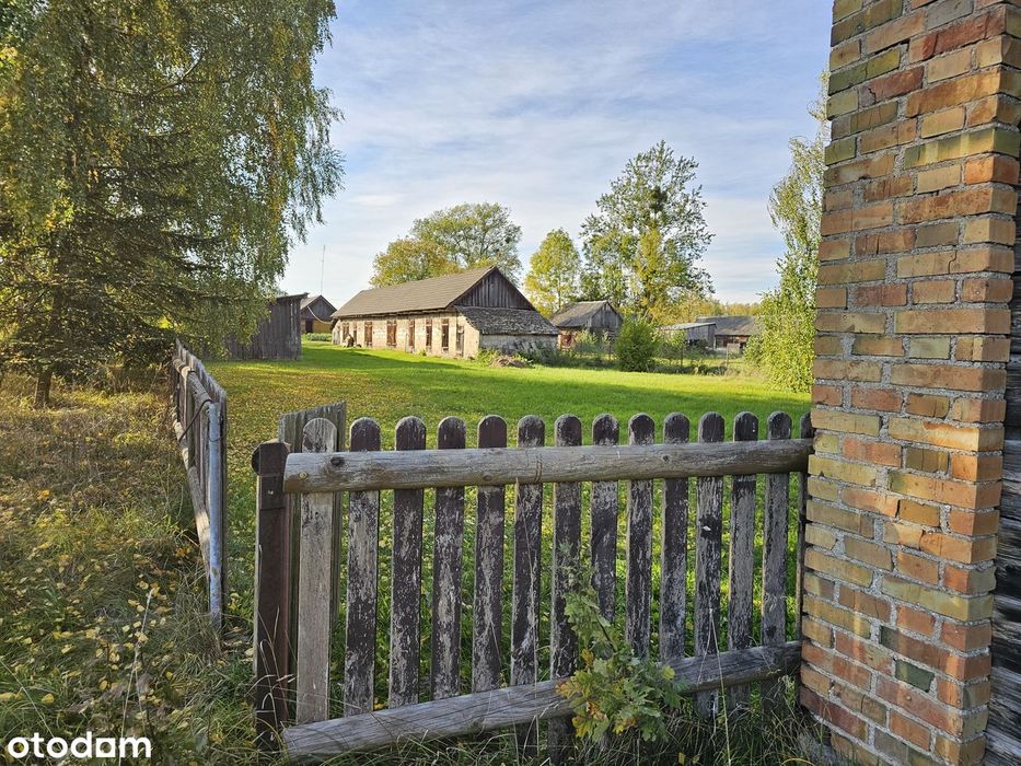 Stary Drewniany Dom Z 1 939 R. 7 791 M² Własny Las Brzozowy Osówka