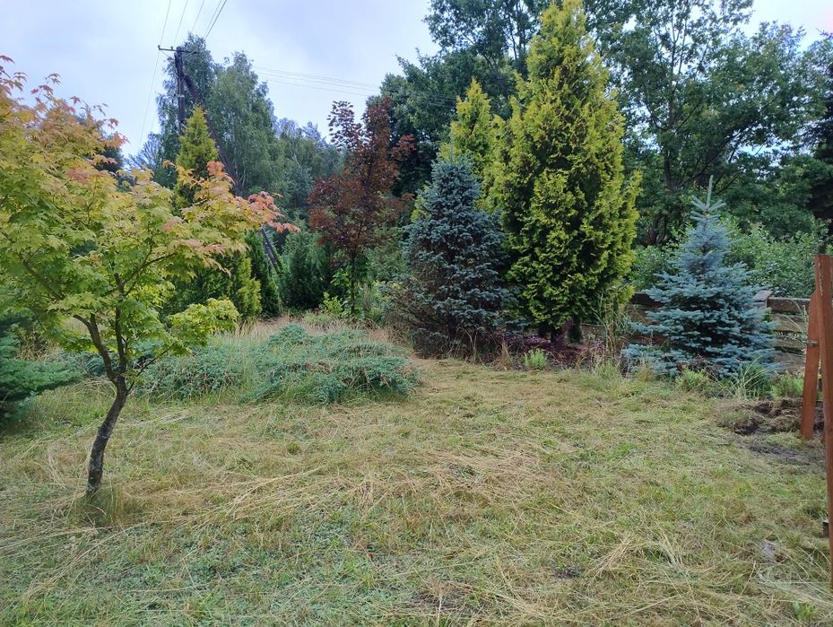 Dom – Kamień - Widok 4