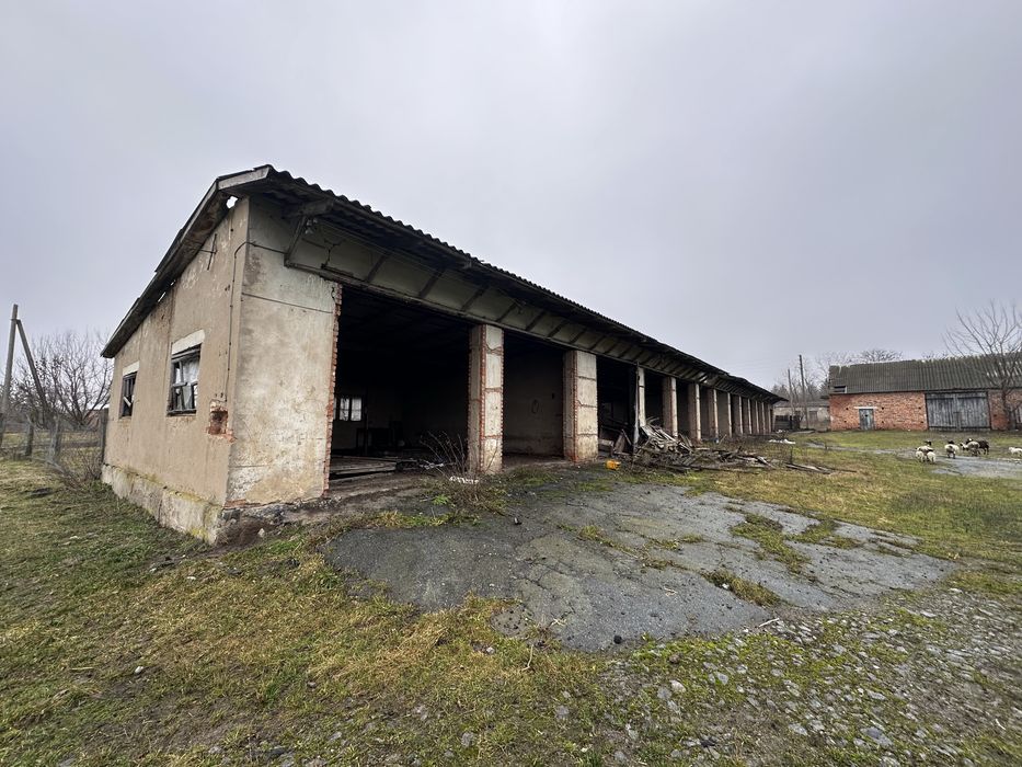Приміщення , ангари , оренда , ферми,продаж , Село пятка