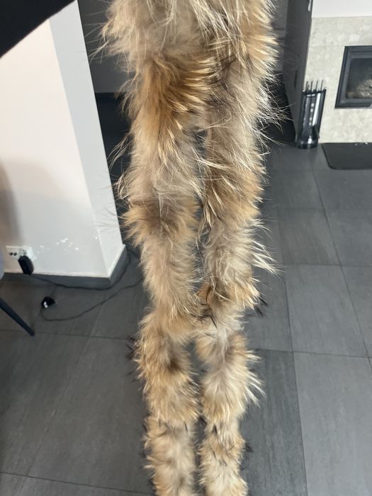 Obszycie kolnierz lis jenot