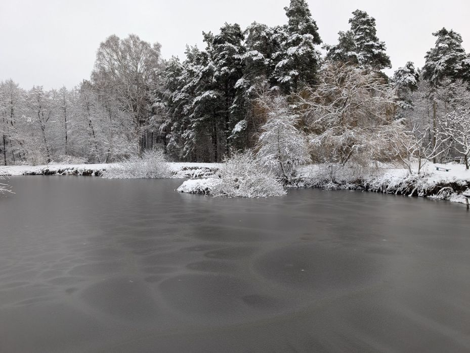 Будинку для відпочинку, чан з джакузі. . Садиба "ВЕРЕС"