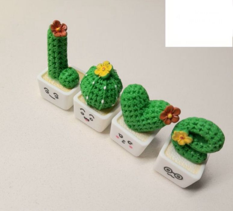 Conjunto de cactos decorativos casa/carro