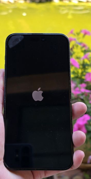 Apple iPhone 14 Pro Max 256 GB Space Black