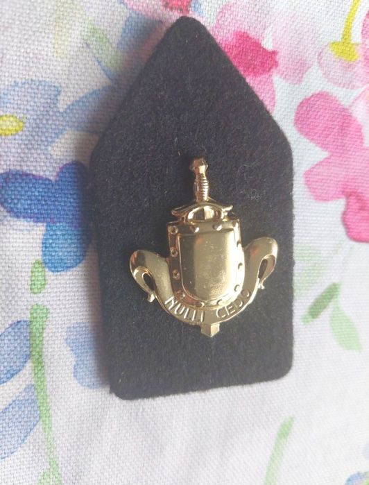 3 Odznaki pułku Dania i patka