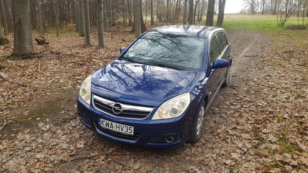 Opel Signum 1.9  2006.