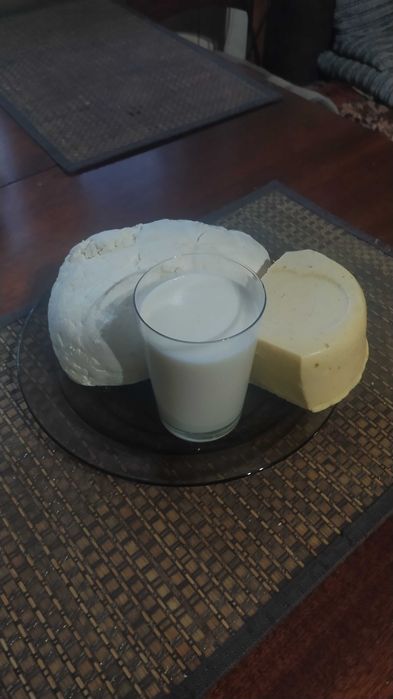 Ser biały, ser żółty, mleko ekologiczne, masło, śmietana