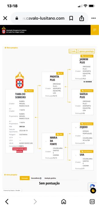 Poldra com tres anos