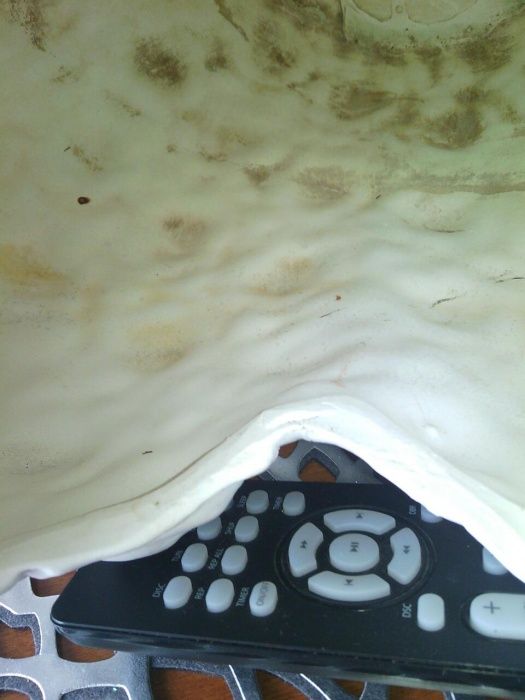 flakon    wazon         .