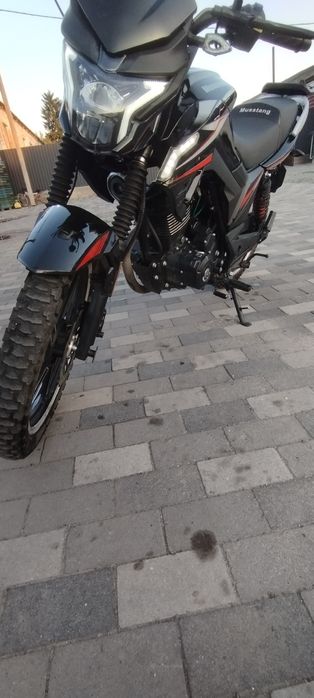 Продам Musstang Fortuna 200