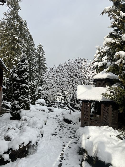 Готель, під групу  ,Славсько