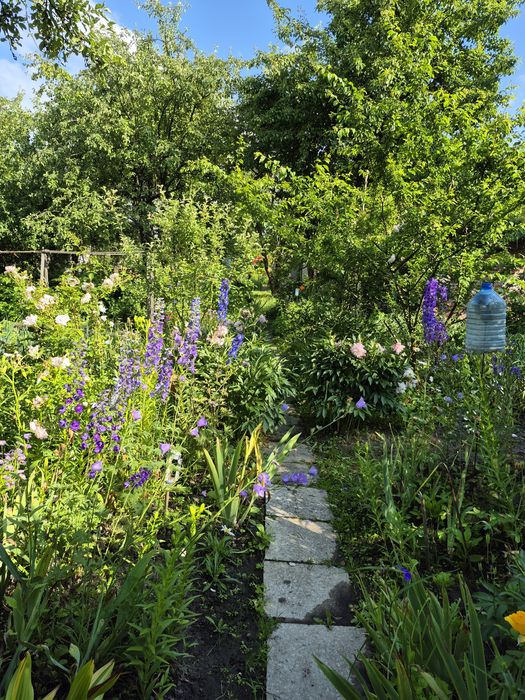 Дача в Деснянці с/т Ювілейне