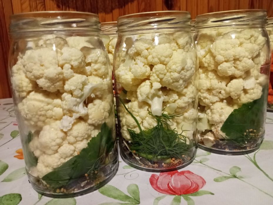 Naturalnie Kiszone rzodkiewki, Domowe Kiszonki 2025