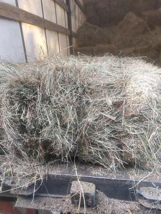 Сіно лугове тюковане,