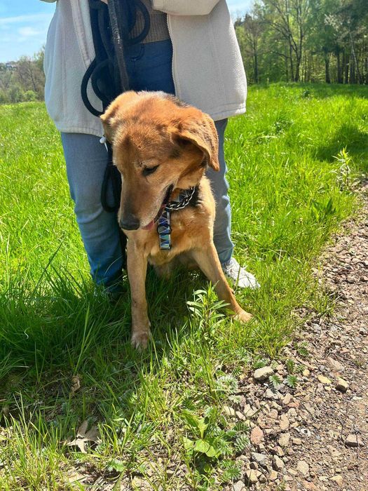 Czy jesteś gotowy, by dać mu szczęśliwe życie?