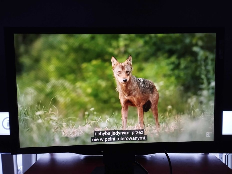 Monitor Eizo Foris FG2421PL czarny