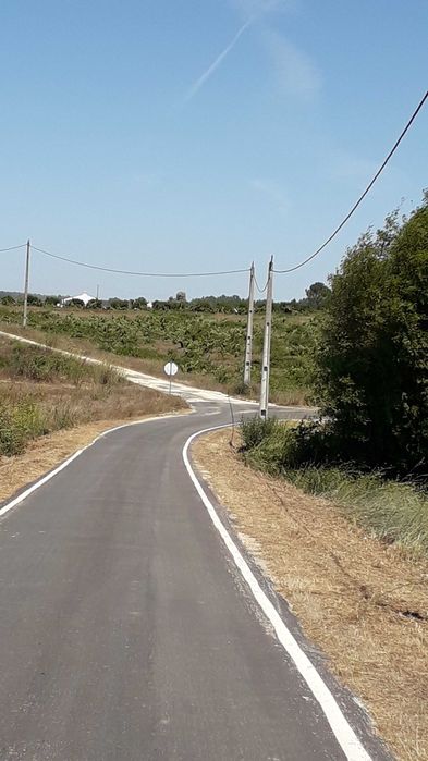 Terreno Rústico - Carrascalinho, Rogil, Aljezur