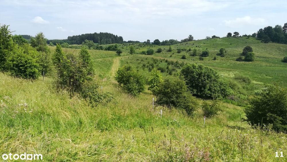 Łaniewo budowlane rekreacja rowery bobry