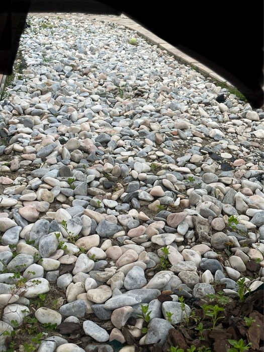 Pedra decorativa jardim