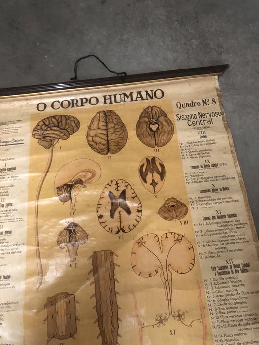 Mapa em tela do corpo humano antigo