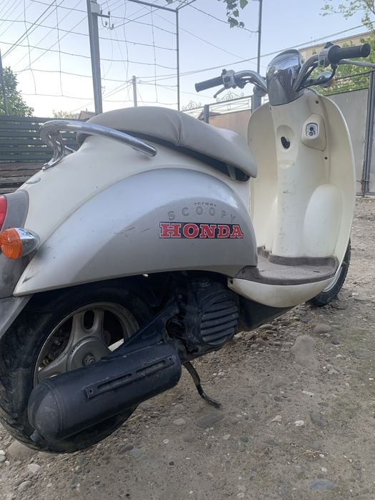 Honda crea scoopy af-55