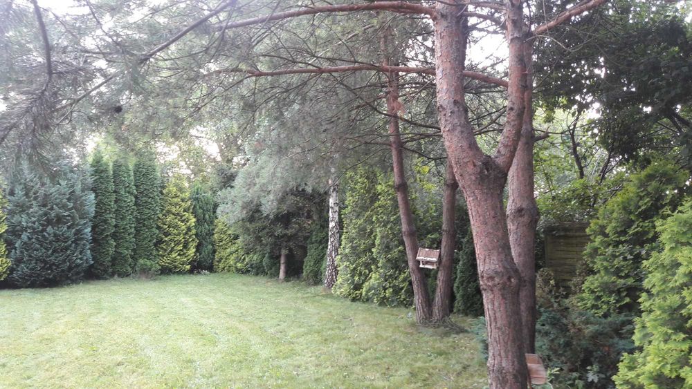 Dom – Warszawa, Salomea, Włochy - Widok 5