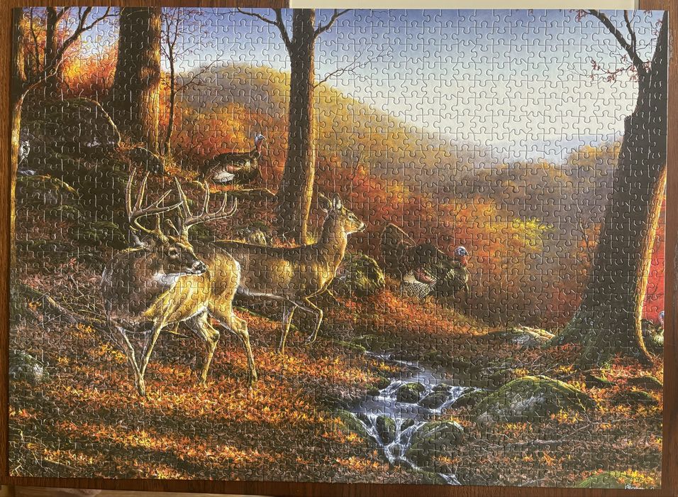 Puzzle dla Kamili rezerwacja zestaw