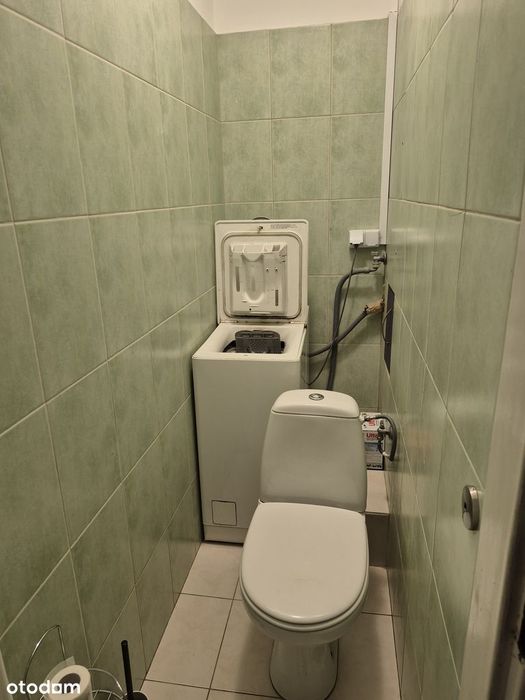 Zdjęcie 6