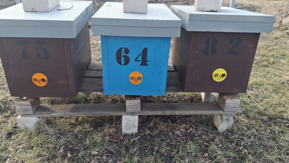 Улья 6 рамочные ппс.