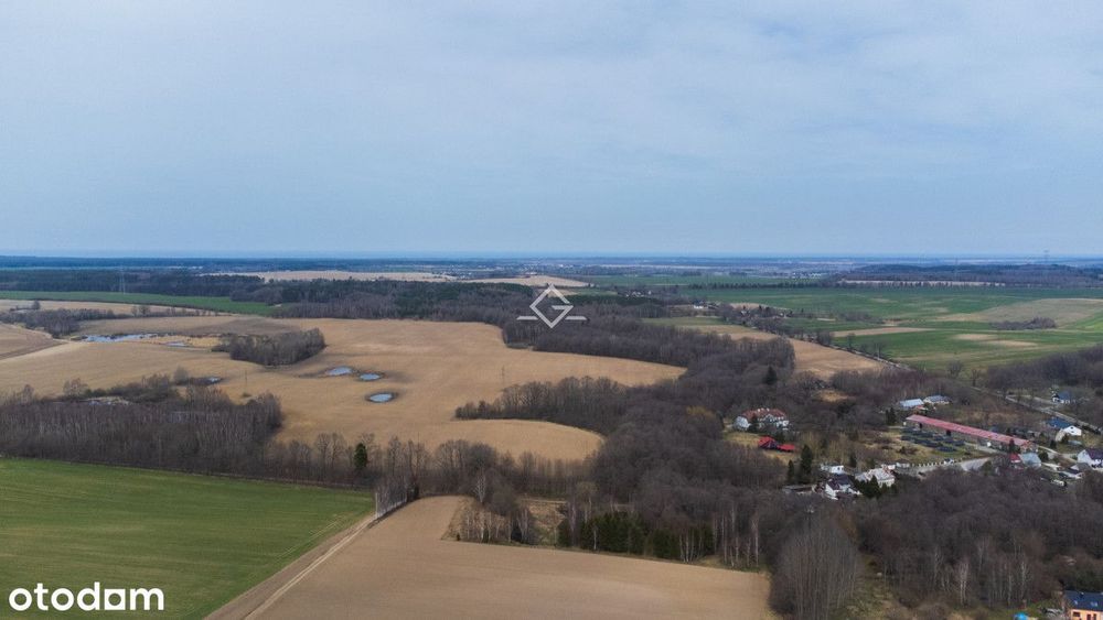 Idealne miejsce na dom marzeń | Uzbrojenie + WZ