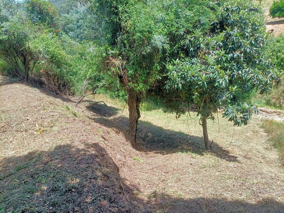 Terreno em Sobral de Ceira para construção