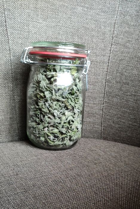 Suszone liście mięty 20 g