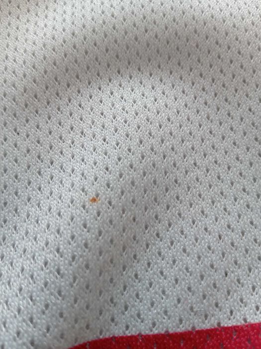 Champion spodenki vintage 76 NBA M krótkie do koszykówki