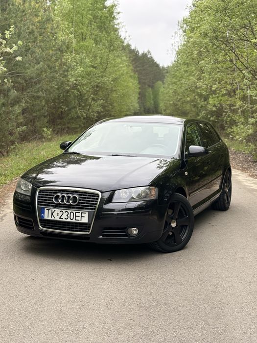Audi A3 8P 2.0 TDI