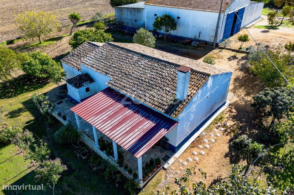 Monte do Ribeiro dos Frades com 2,5Ha - às portas da cidade
